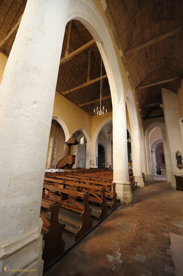 Nom de l'image : D30080496_1_(c)Norbert-JUNG — Description :